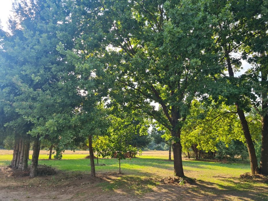 Sprzedam działkę budowlaną 1500m2