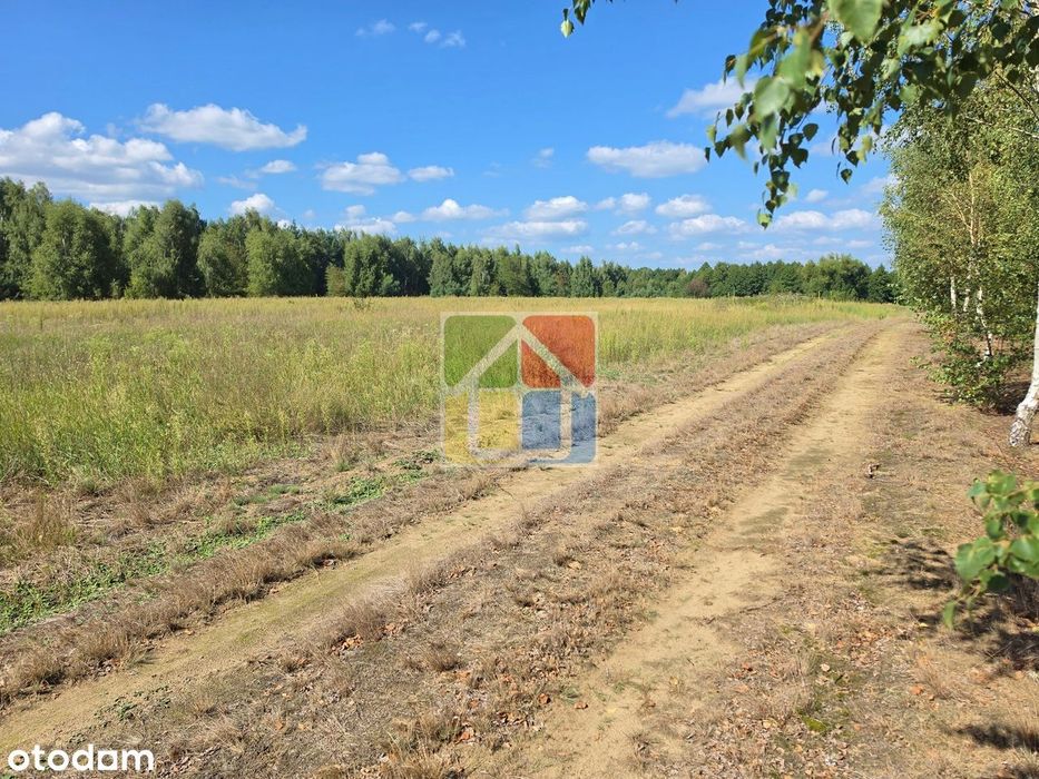 Działka pod zabudowę jednorodzinną lub letniskową 1050 m² - Więcej