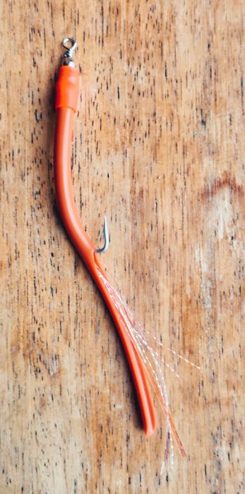 Pingalim, amostra para pesca ao Robalo.