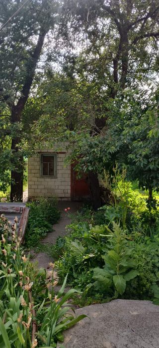 Продаж 3к квартири с.Терезине