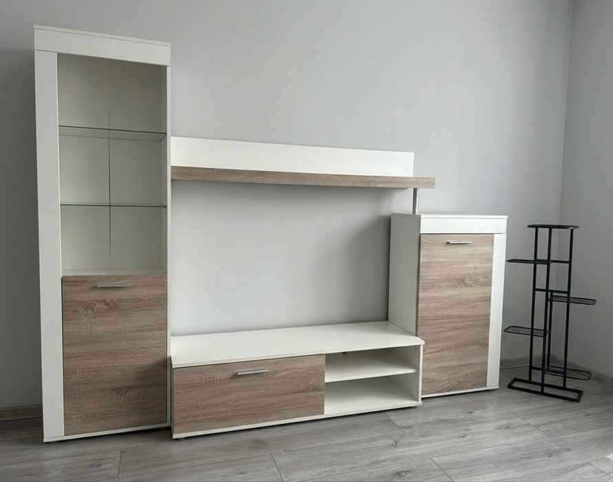 Mebloscianka pokojowa