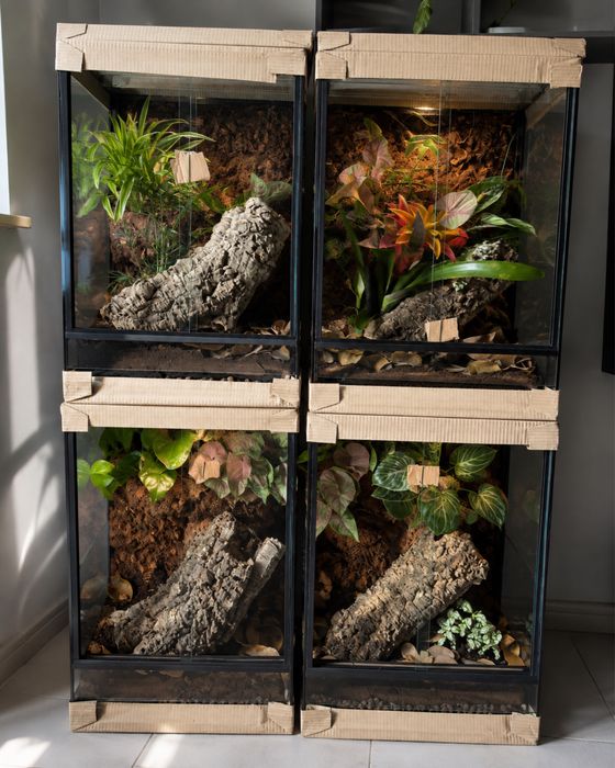 Terrarium 40x40x60
