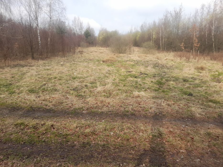 Piękne miejsce koło Przysuchy, Kozłowiec  116 km od Warszawy.