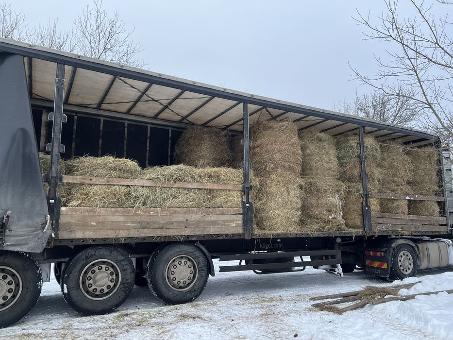 Сіно / є доставка