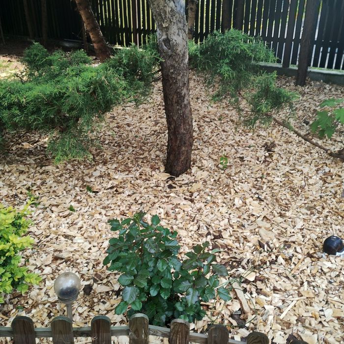 Czyszczenie działek pielęgnacja ogrodów