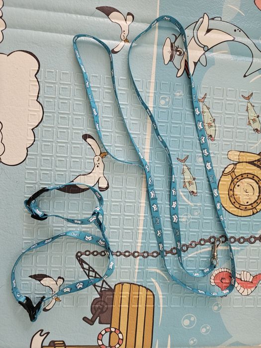 Smycz i szelki dla kota szelki regulowane