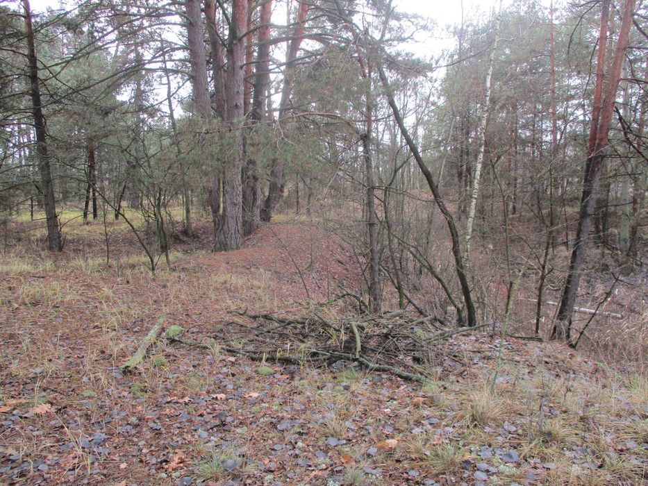 Продаж земельної ділянки 22,47 сот. Київська обл., с.Жукин  9100$