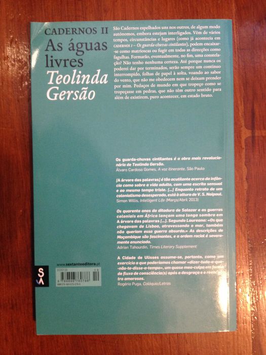 Teolinda Gersão - Cadernos II, As águas livres [1.ª ed.]