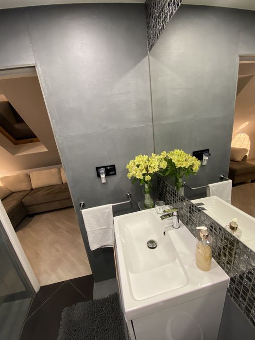 SOWIA RZECZKA APARTAMENT, Góry Sowie, noclegi, Domek w górach, Rzeczka