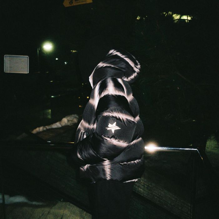 Пуховик tommy sinny