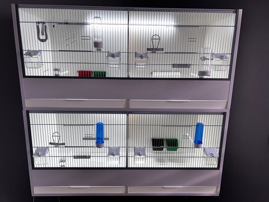 Клiтка для Амадин