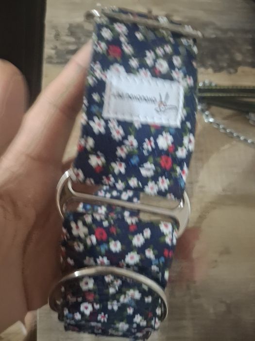Coleira martingale e trela de 1 metro