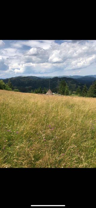 Земельна ділянка