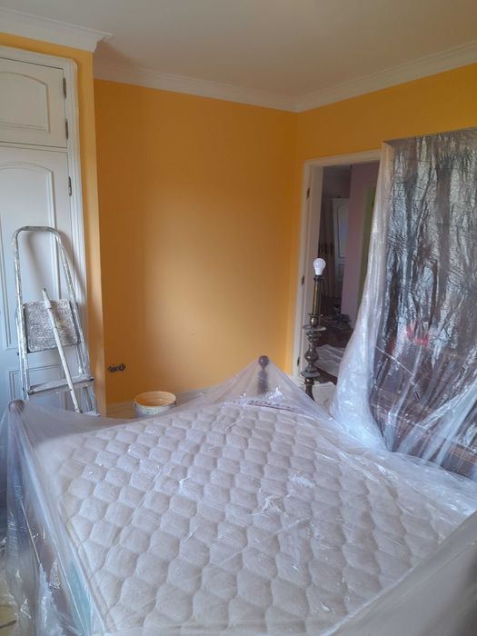 Pintor profissional