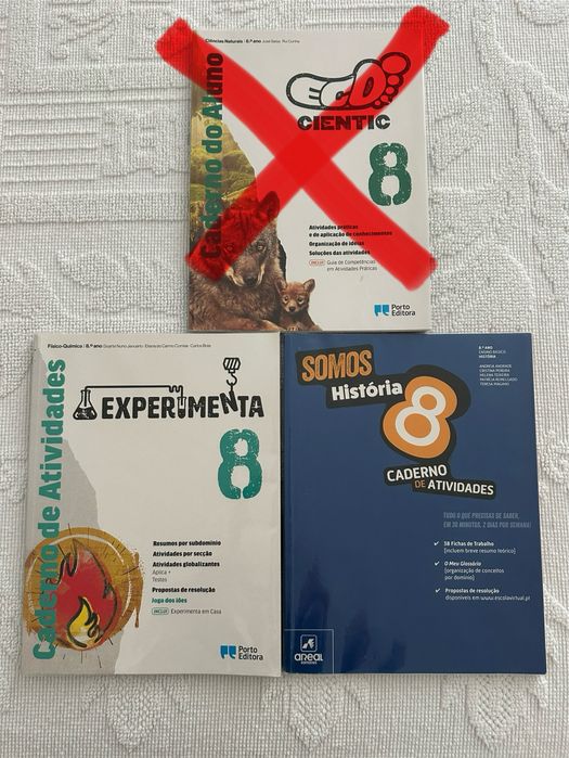 Cadernos actividadrs 8 ano