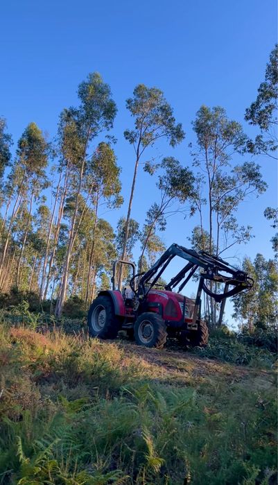 Prestacao de Serviços Agricolas & Florestais