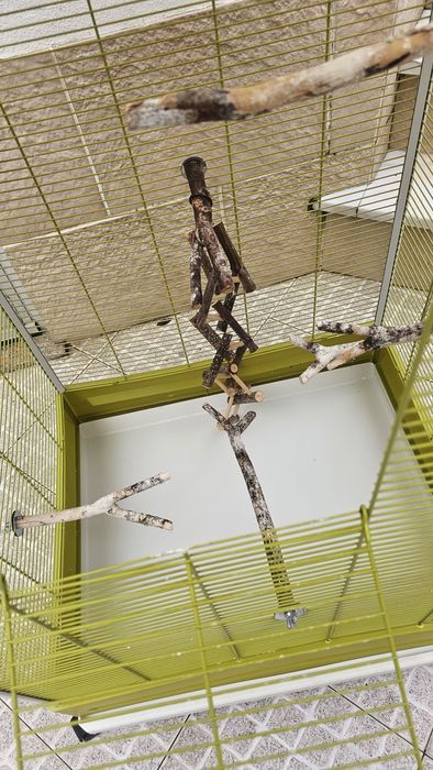 Gaiola pássaeos grande com todos os acessórios