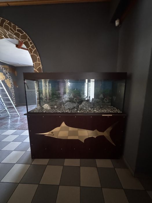 приміщення з ремонтом  в центрі міста під ресторан,магазин,тц