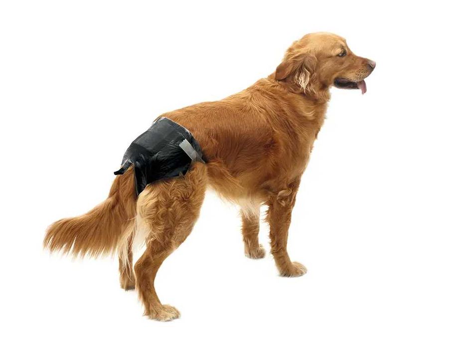 3 opakowania Savic Comfort Nappy pieluchy dla psa, 12 sztuk, rozmiar 7