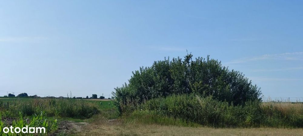 Działka, Zaborówek - Więcej