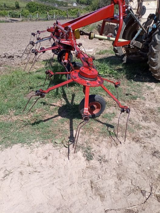 Volta fenos Pottinger