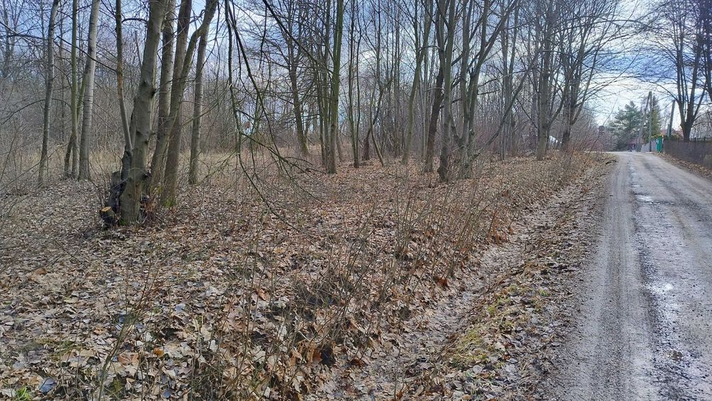 Działki rekreacyjne nad Jeziorem Żywieckim