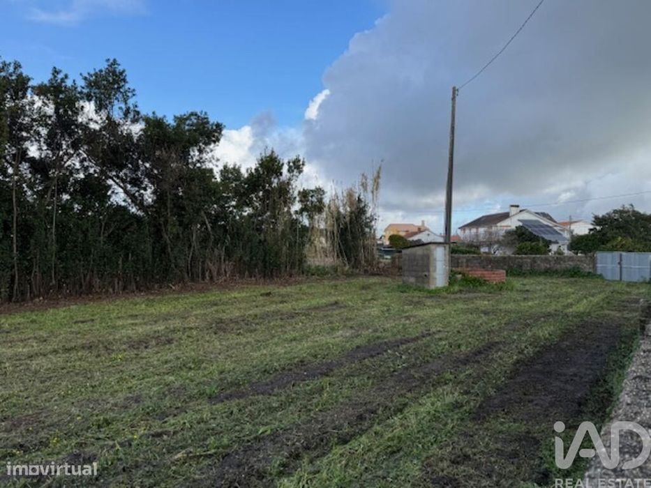 Terreno em Monte Real e Carvide