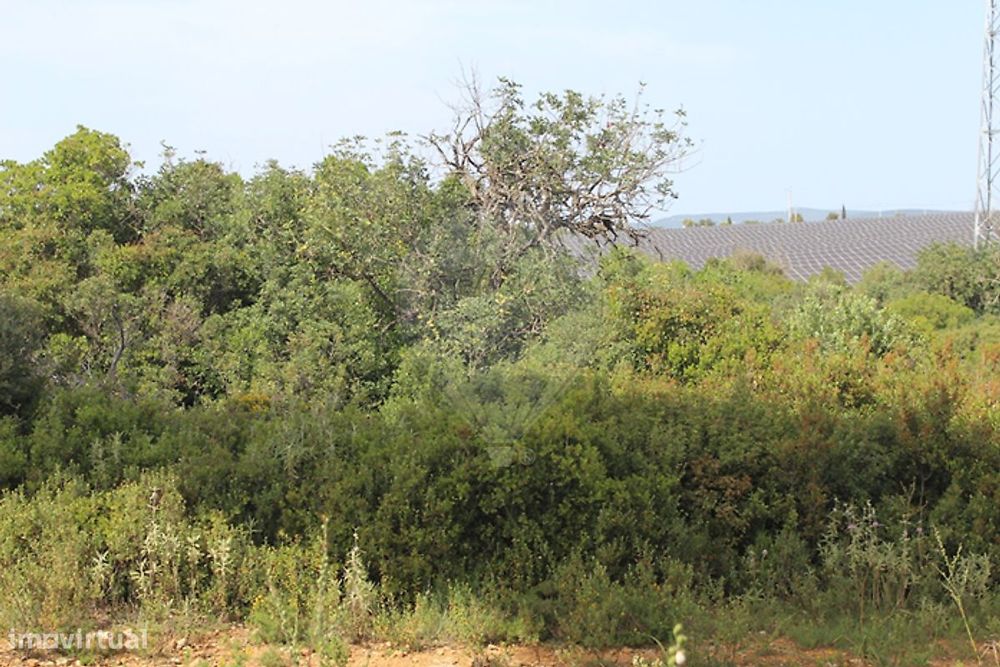 Terreno  para venda — Paderne, Faro