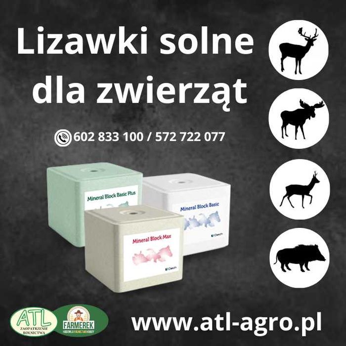 Lizawka solna CIECH kostka sól dla zwierząt leśnych bydła podstawki