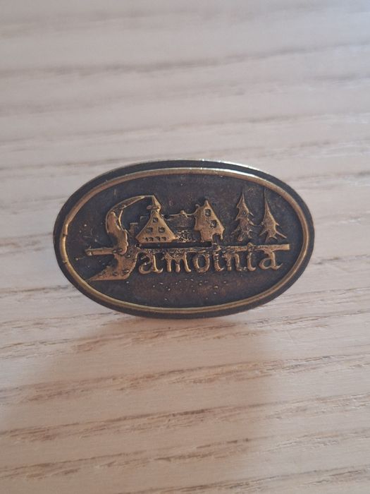 Odznaka pin Schronisko Samotnia
