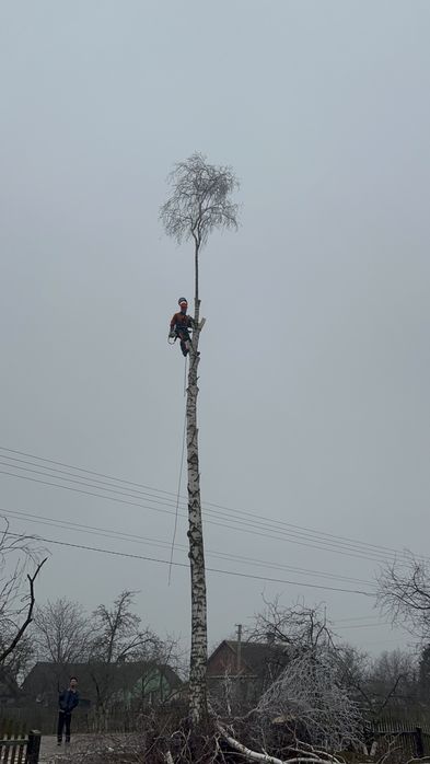 Зрізання дерев, чистка ділянок, валка, кронування, обрізка саду