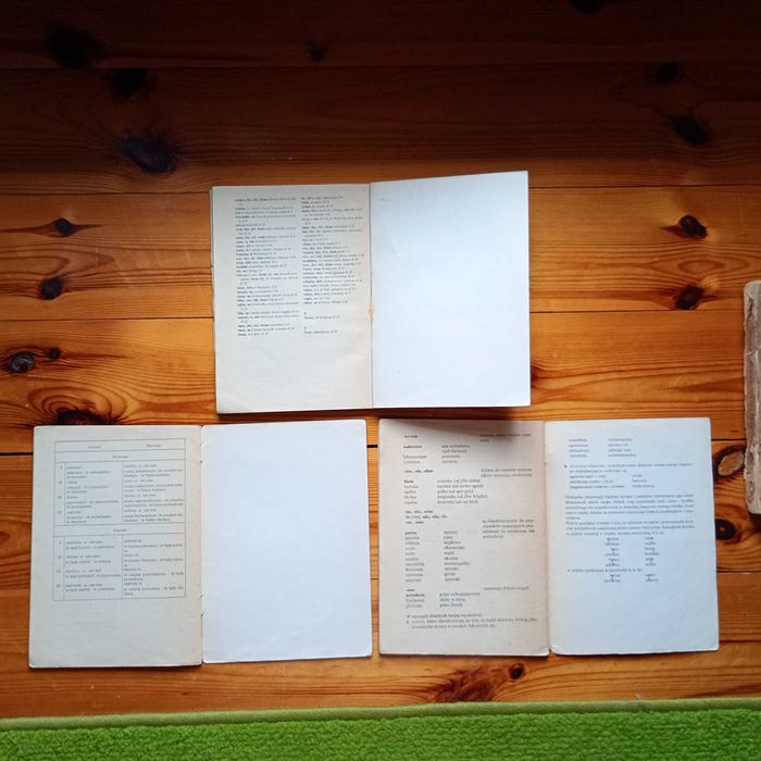 Lectio Latina Wilczyński, Zarych