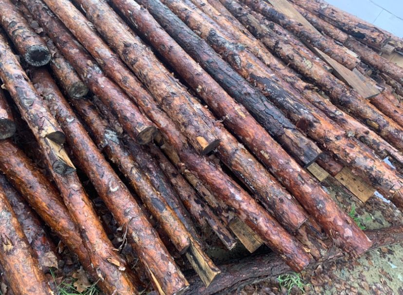 Sprzedam stemple na cały dom