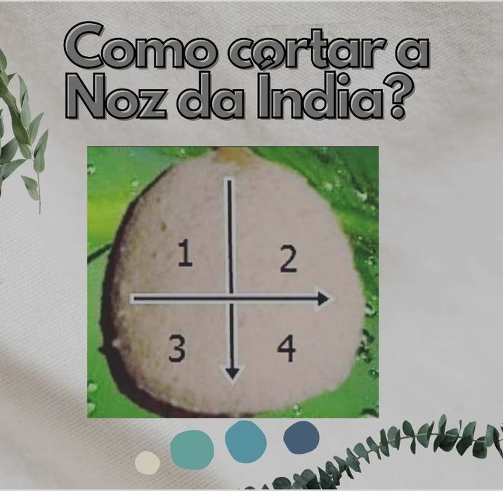 100 NOZ 65  EUROS APROVEITE!