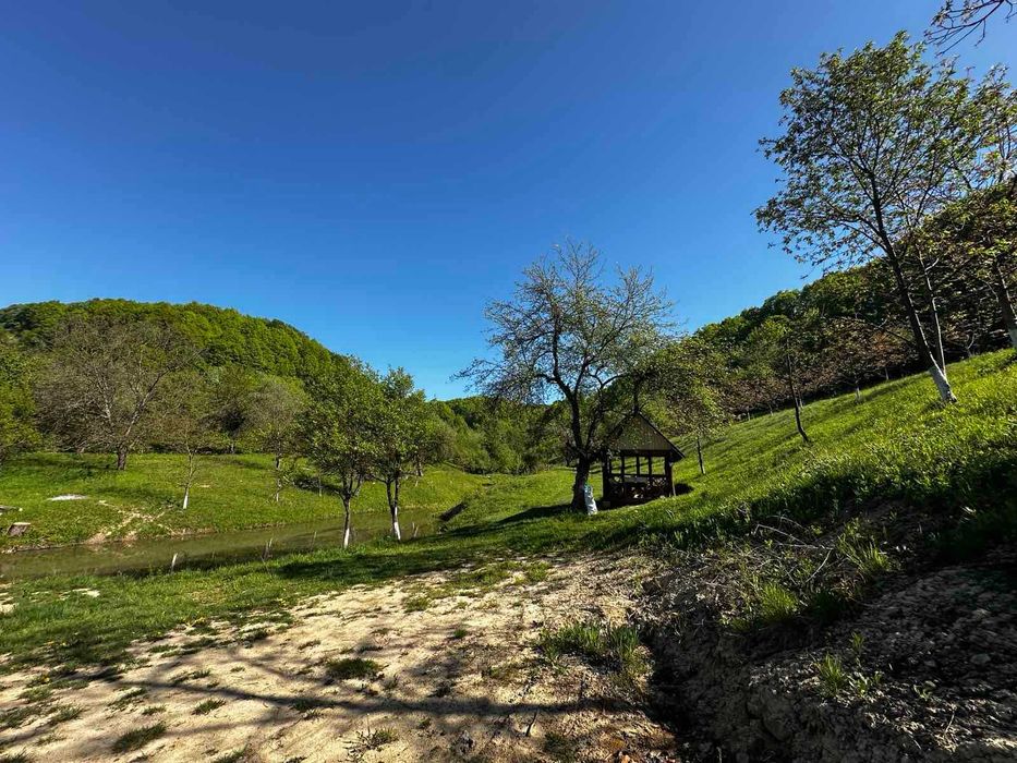 Продається дача в с. Бедевля