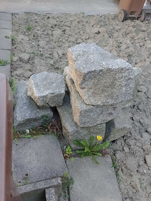 Kamień ogrodowy. Kamienie duże do ogrodu.