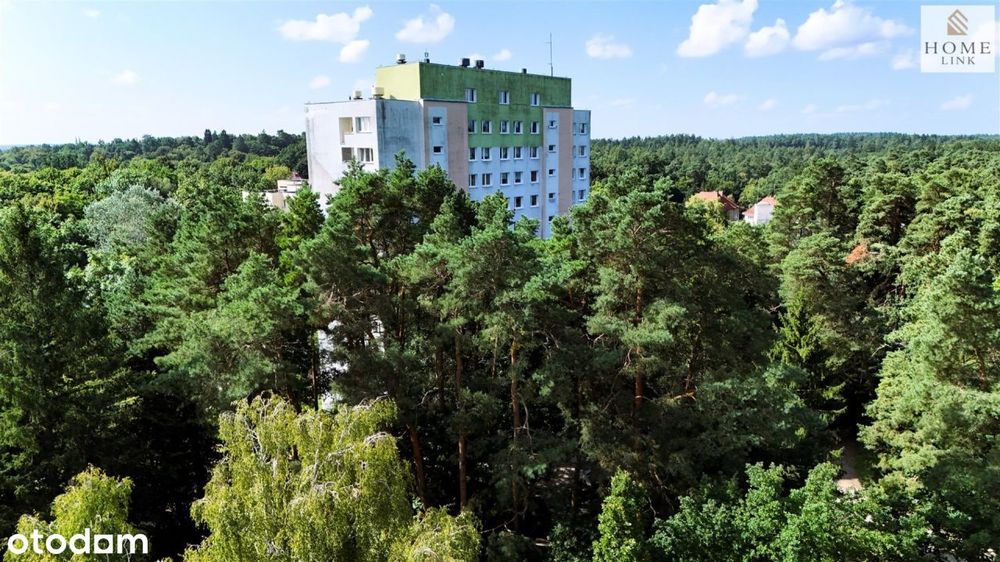 3-pokojowe mieszkanie z widokiem na korony drzew.