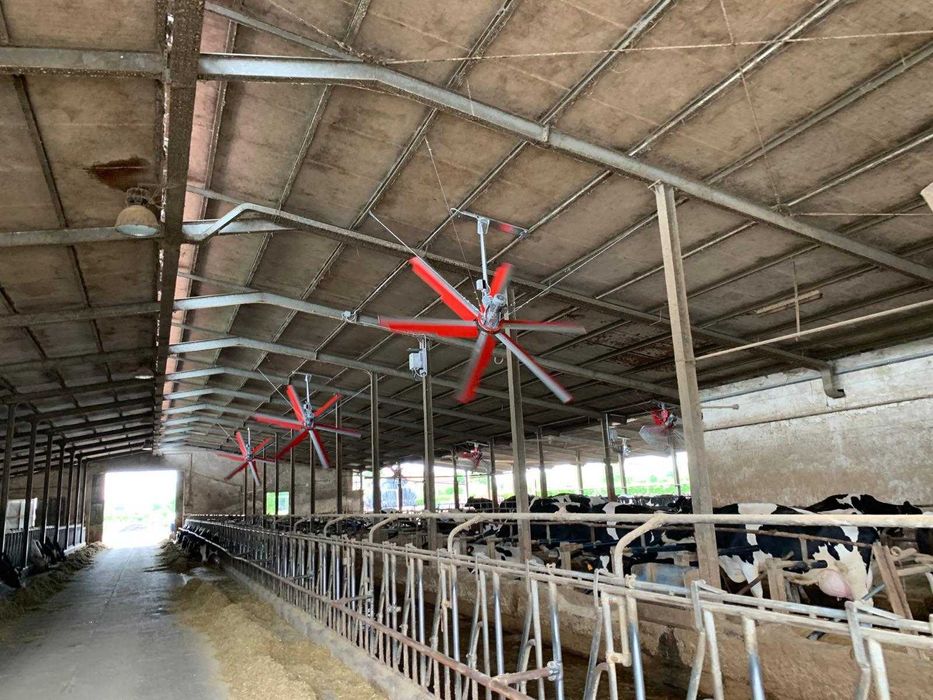 Wentylatory do obory typu helikopter/mieszacz powietrza