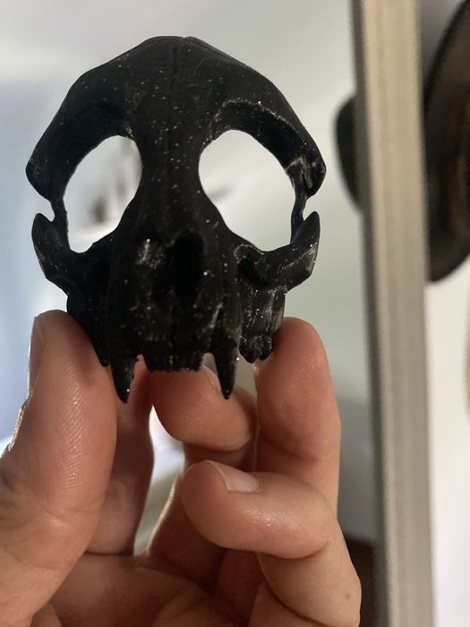 Artigos em 3d cores podem variar