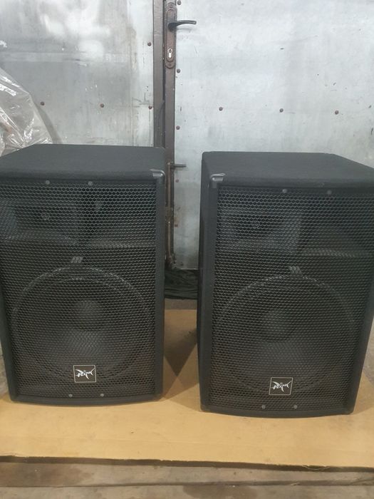 Колонки парк аудіо 15дюймів