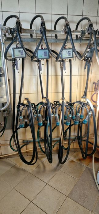 Dojarka przewodowa westfalia aparat udojowy