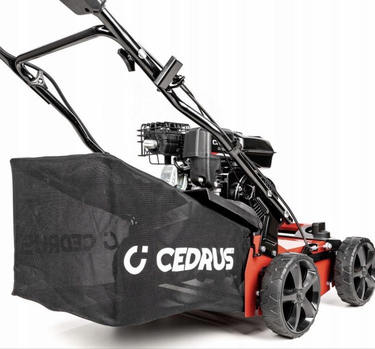 Wynajem spalinowy Aerator I Wertykulator cedrus WR01-B