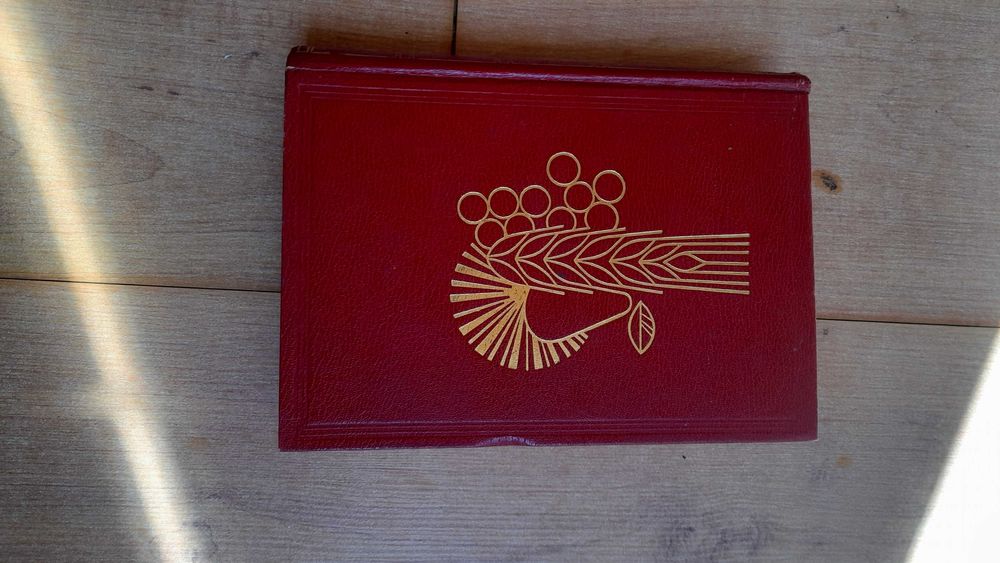 Livro A Saude Pelos Alimentos Capa Dura