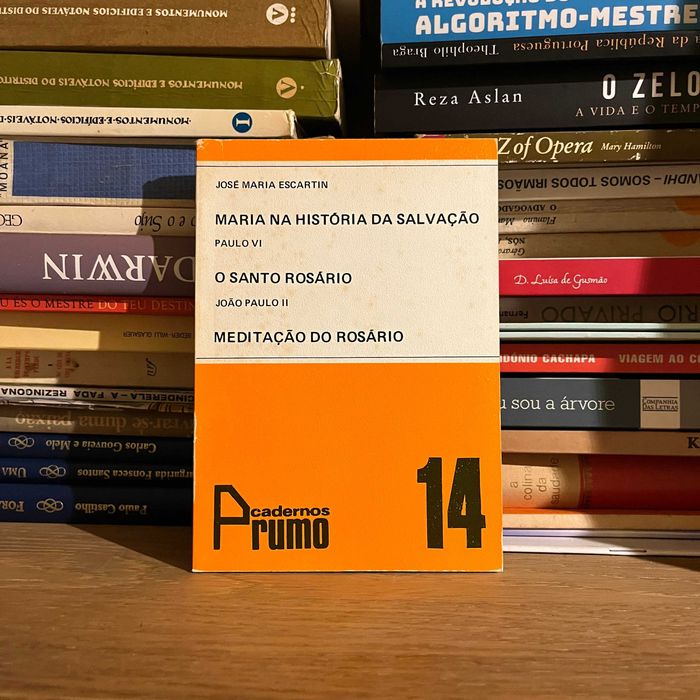 Meditação do Rosário / O Santo Rosário / Maria na História da Salvação