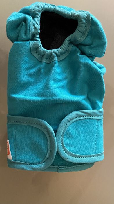 Cueca higienica cão