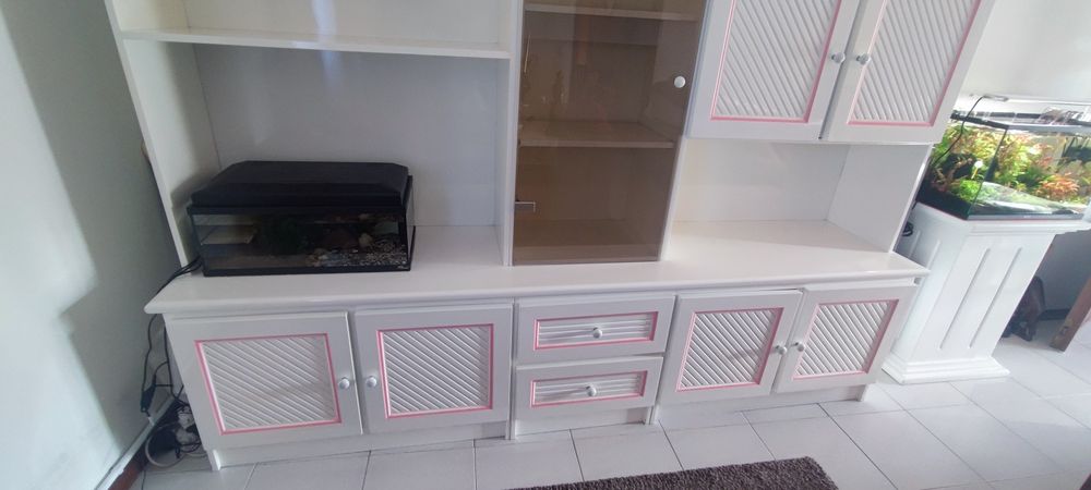 NOVO PREÇO + BAIXOArmário sala com iluminação  236*206 (antes 290€)