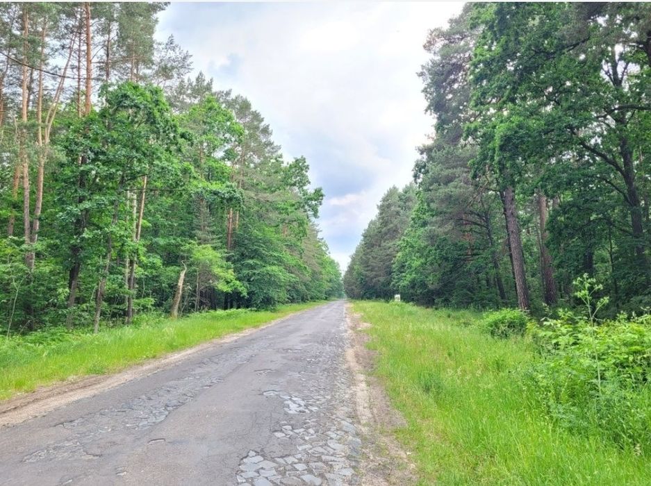 Продам! Виробничу базу,(ковбасний цех) 58сот, 530м2!