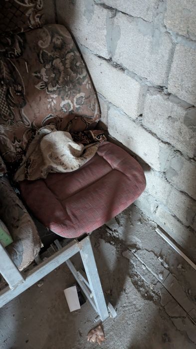 Сидушки в бус  ..2 шт по 3