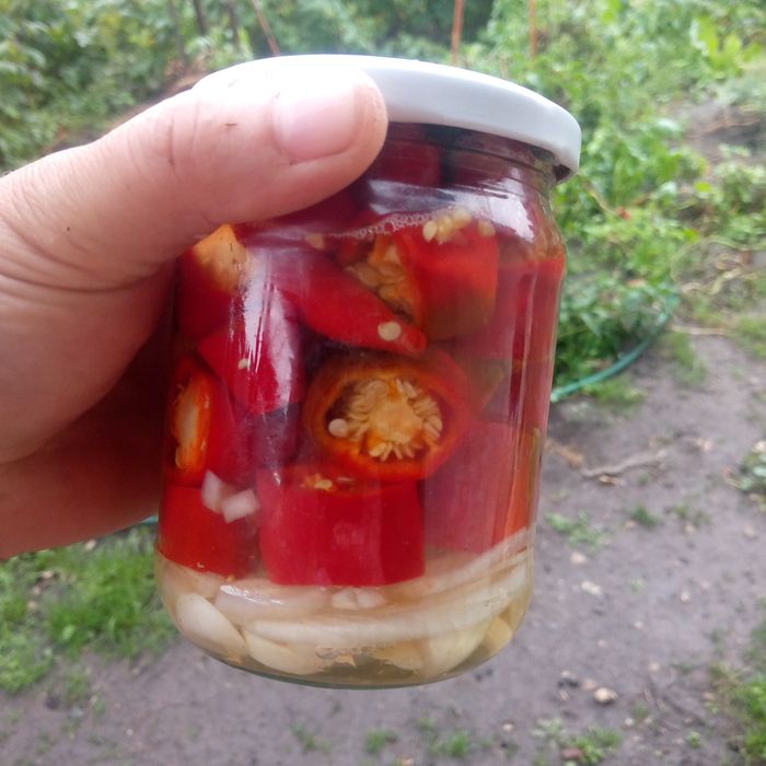 Продам баночки закручені на зиму. перець чілі