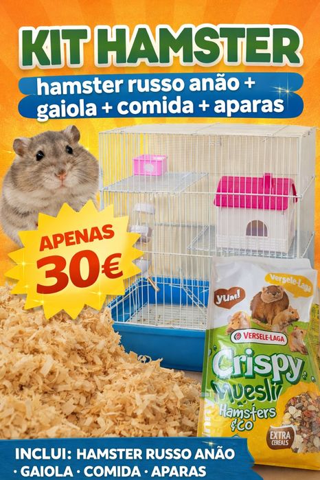 Kit hamsters completo